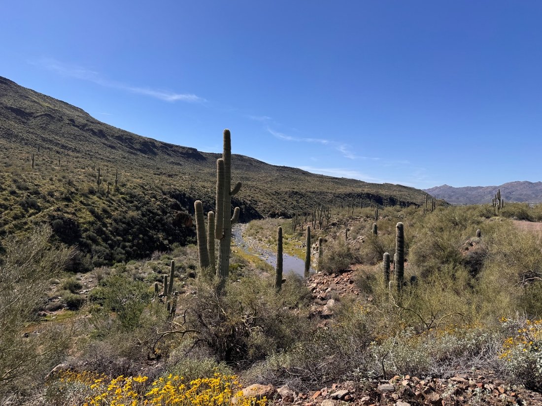 Land in Black Canyon City, Arizona, United States 2 - 15904599