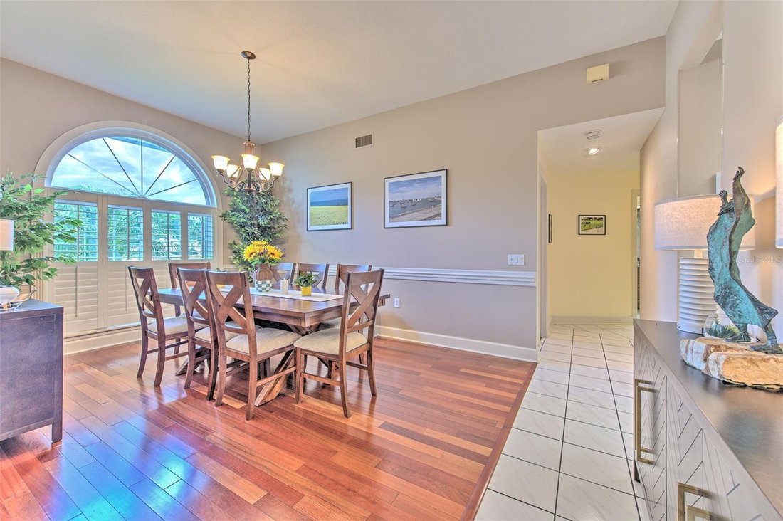 House in Valrico, Florida, United States 5 - 18053391