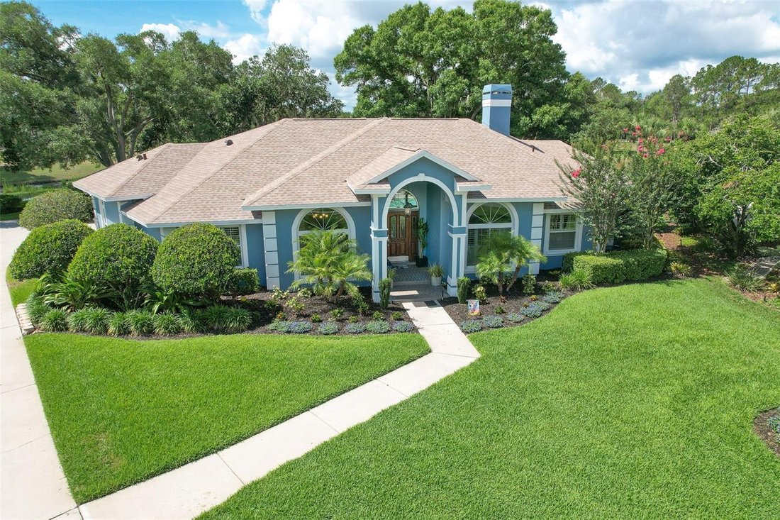 House in Valrico, Florida, United States 1 - 18053391