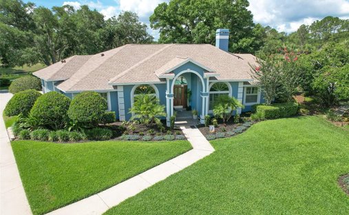 House in Valrico, Florida, United States 1