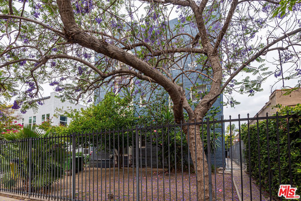 Los Angeles, California, United States 3 - 18018853
