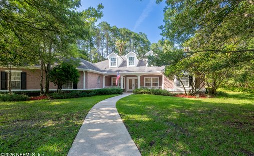 House in Fruit Cove, Florida, United States 1
