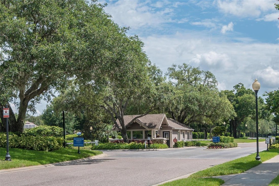 House in Valrico, Florida, United States 3 - 18053391