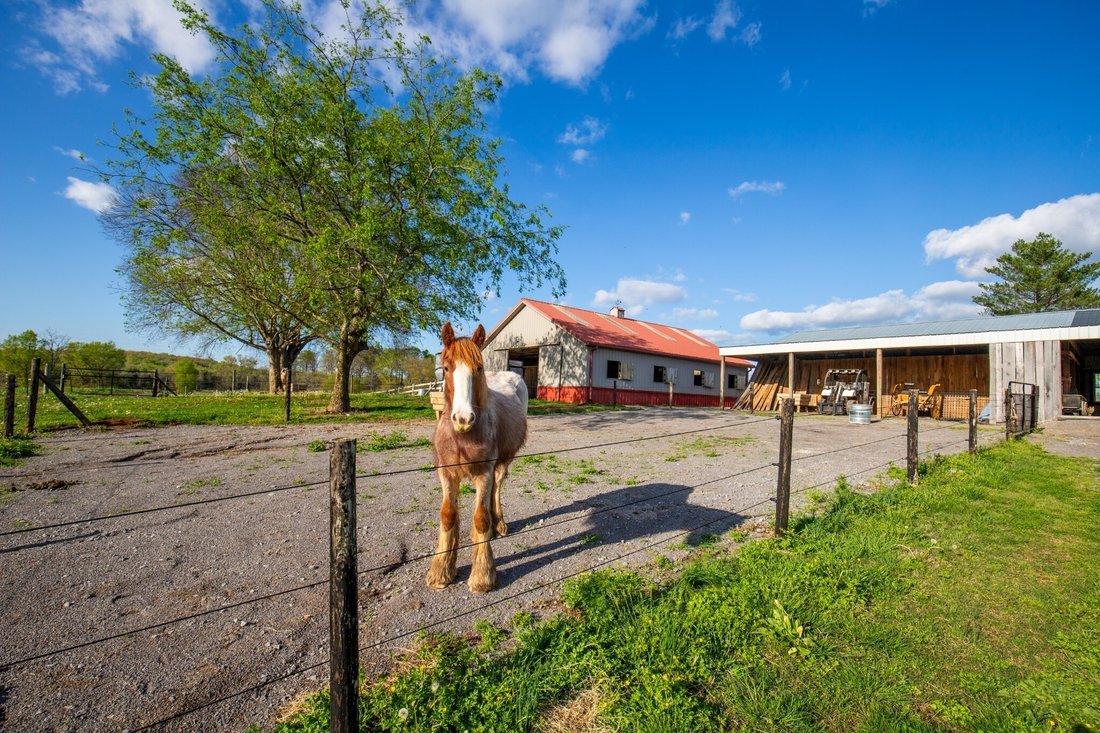 House in Unionville, Tennessee, United States 1 - 18053521