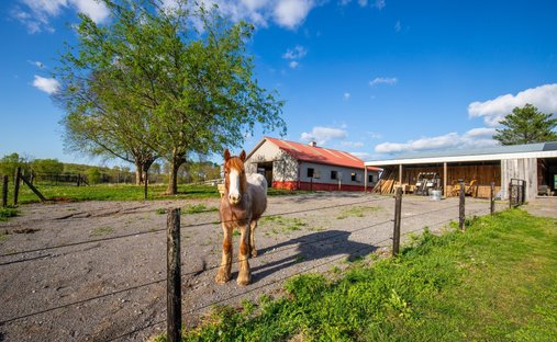 House in Unionville, Tennessee, United States 1