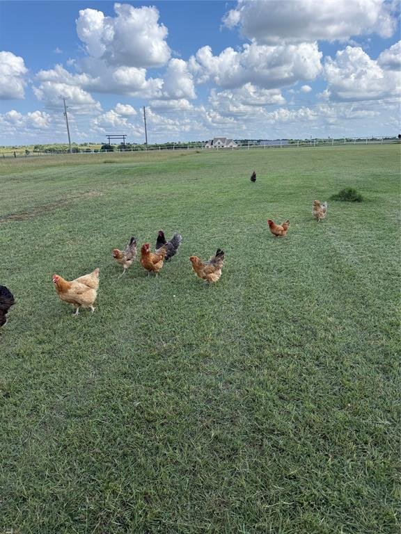 House in Crawford, Texas, United States 2 - 18053872