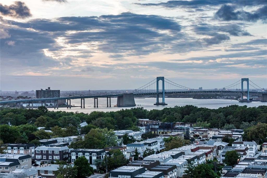 Cooperativa a New York, New York, Stati Uniti 1 - 18053782
