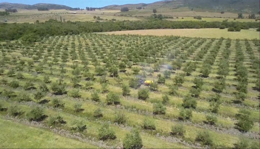 Land in Edén Rock, Maldonado Department, Uruguay 2 - 18053897