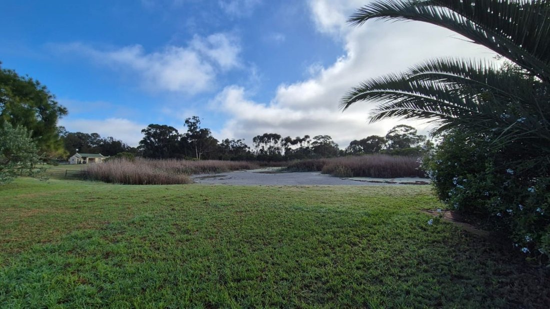 Farm Ranch in Johannesburg, Gauteng, South Africa 2 - 18053936