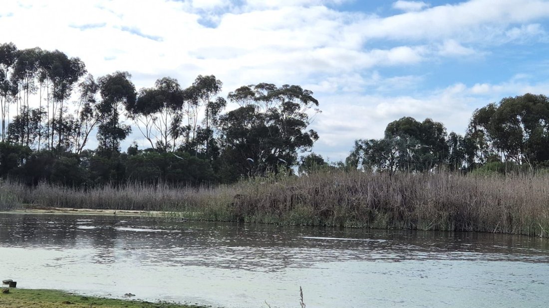 Farm Ranch in Johannesburg, Gauteng, South Africa 4 - 18053936