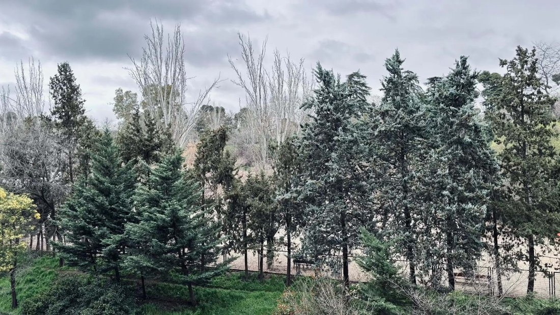 Apartment in Centro, Madrid, Spain 2 - 18054100