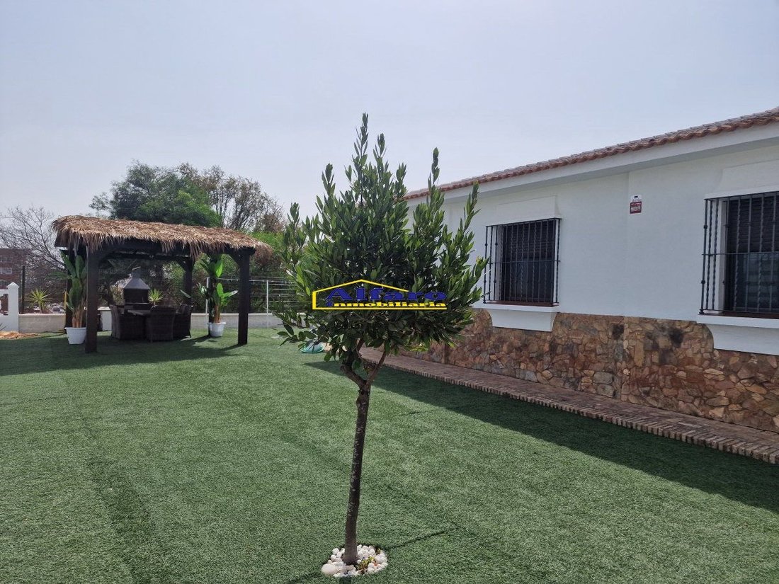 House in 1a Fase, Almonte, Spain 3 - 18054195