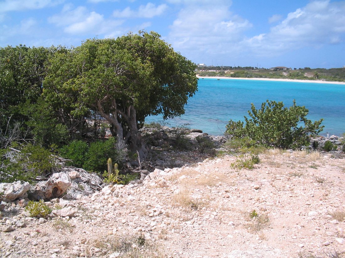 Land in East End Village, Anguilla 3 - 18054261