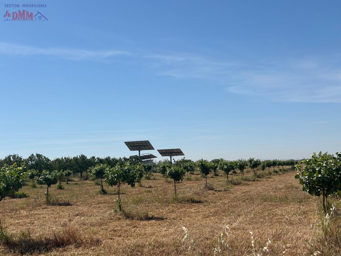 Farm Ranch in Ciudad Real, Castile-La Mancha, Spain 1 - 15557324