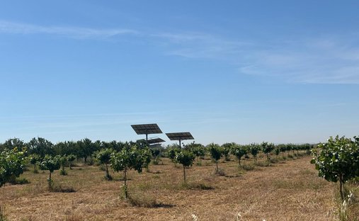 Farm Ranch in Ciudad Real, Kastilien-La Mancha, Spanien 1