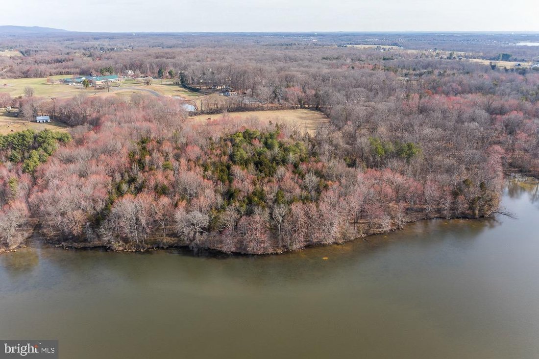 Warrenton, Virginia, United States 4 - 18054566