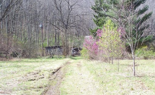 Land in Waynesville, North Carolina, United States 1