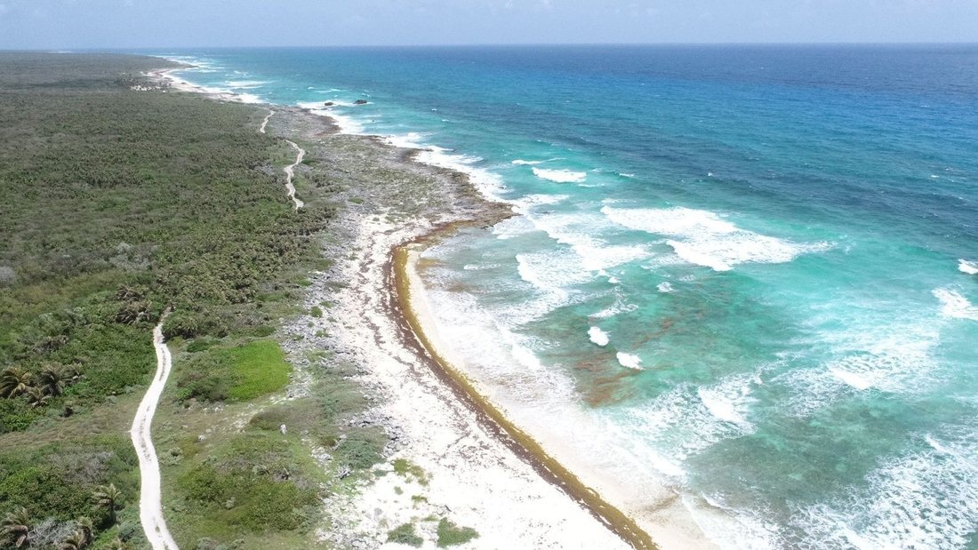 Land in San Miguel de Cozumel, Quintana Roo, Mexico 5 - 18056376