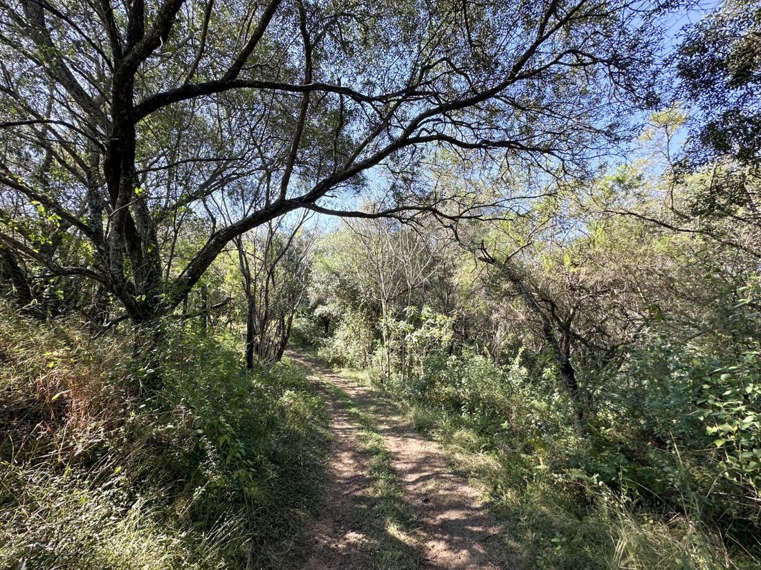 Farm Ranch in Barberton, Mpumalanga, Südafrika 5 - 18056031