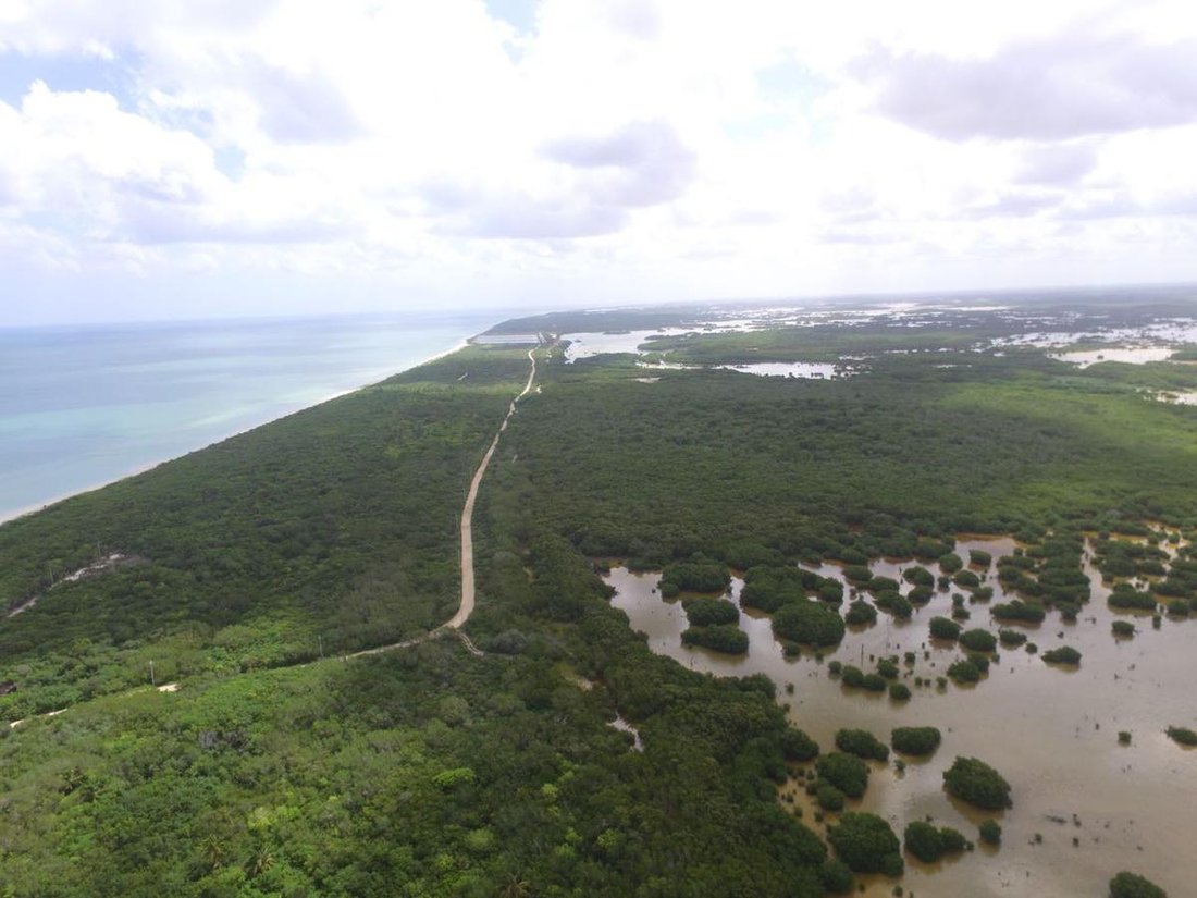 Terrain à Sisal, Yucatán, Mexique 4 - 18056383