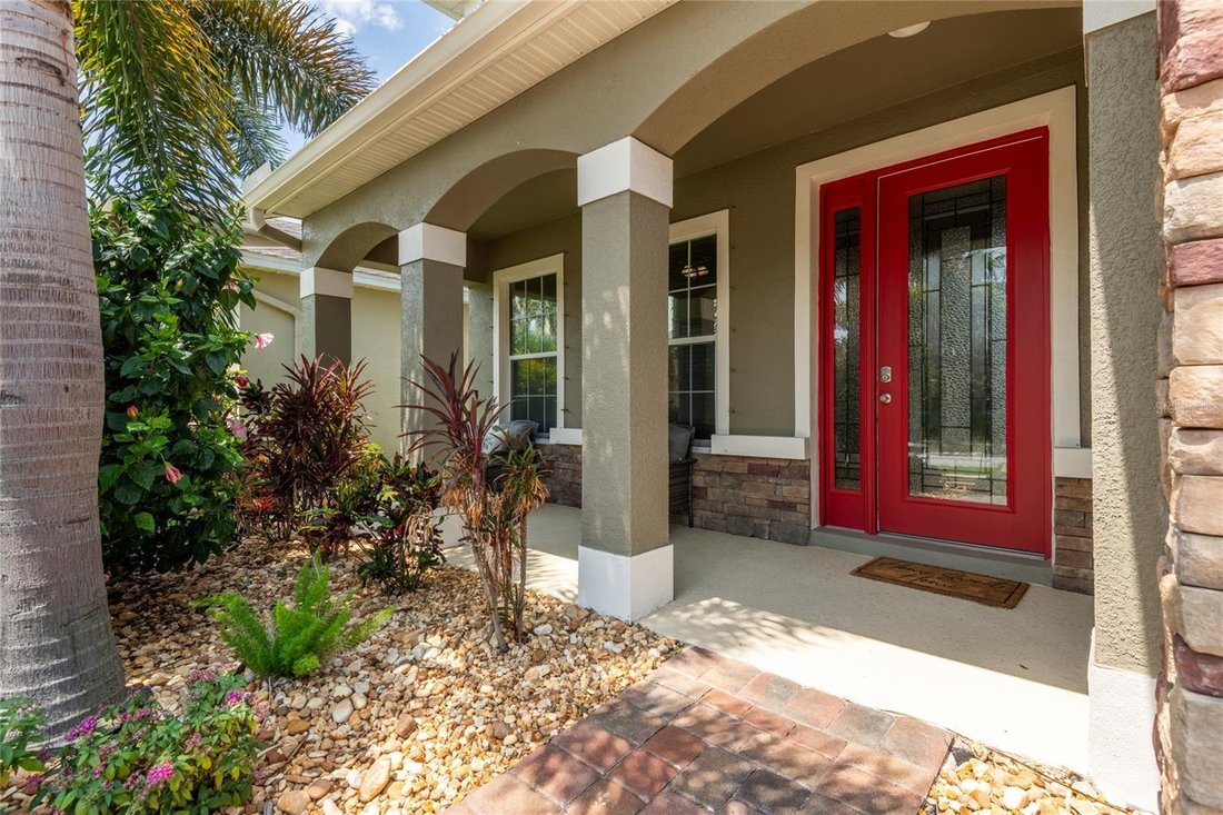 House in Riverview, Florida, United States 3 - 18059674