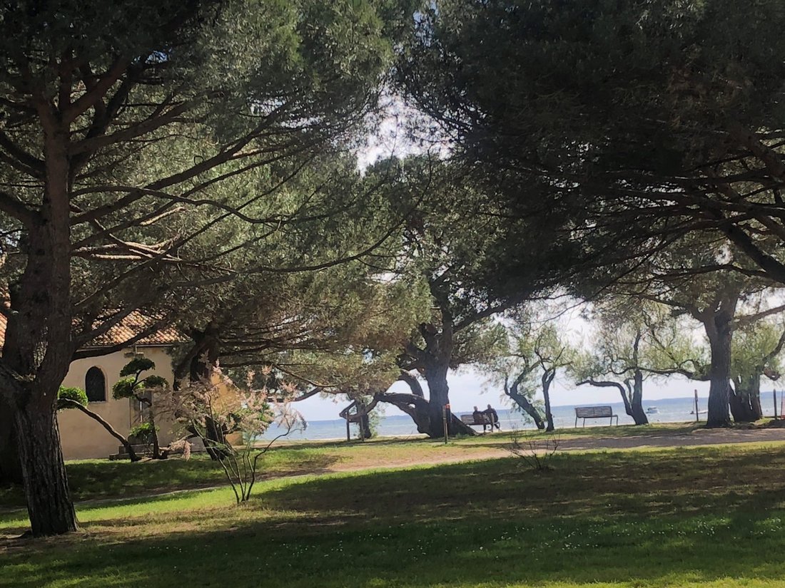 House in Nord Est, Andernos-les-Bains, France 2 - 18059867