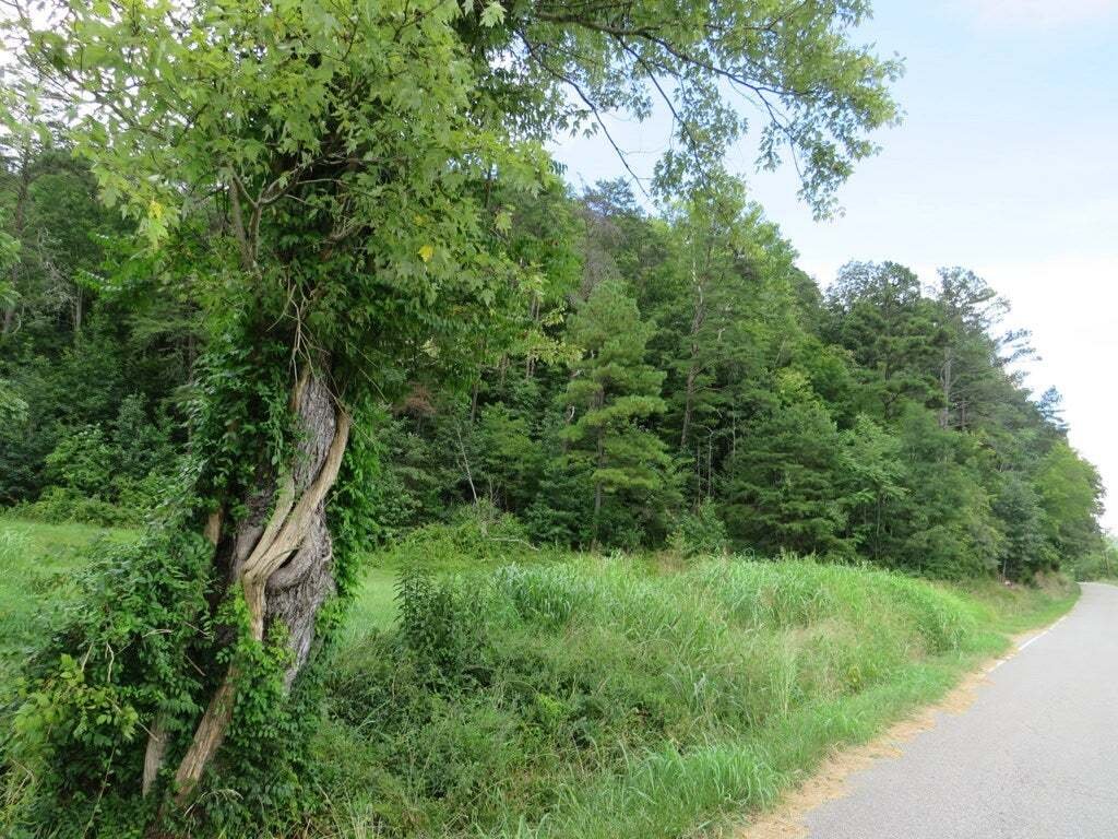 Land in Louisa, Kentucky, United States 3 - 18054997