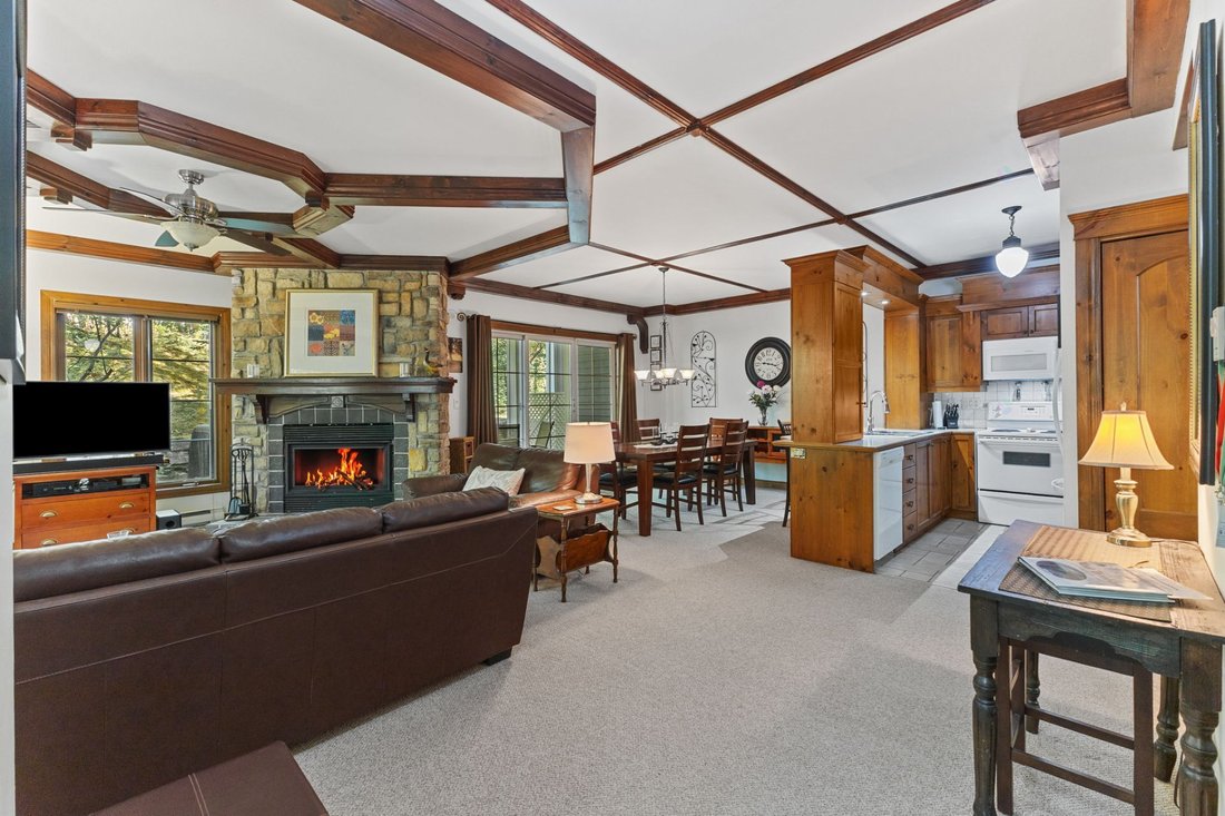 Condo in Mont-Tremblant, Quebec, Canada 5 - 18058745
