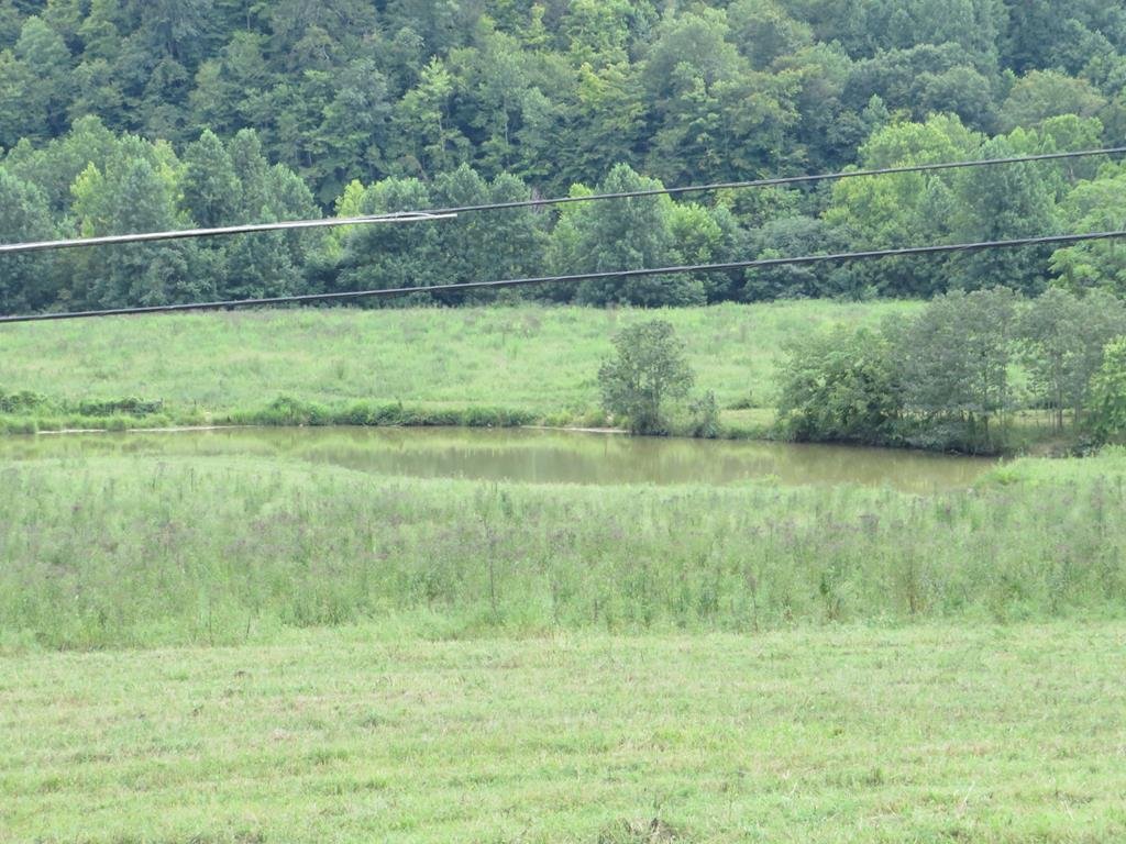 Land in Louisa, Kentucky, United States 1 - 18054997