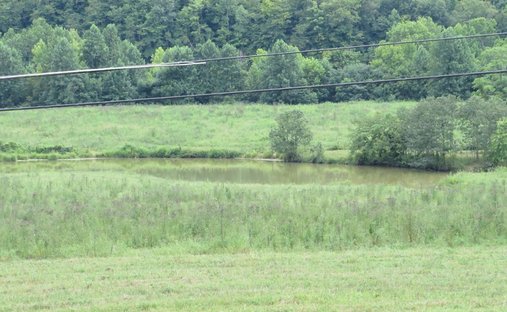 Land in Louisa, Kentucky, United States 1