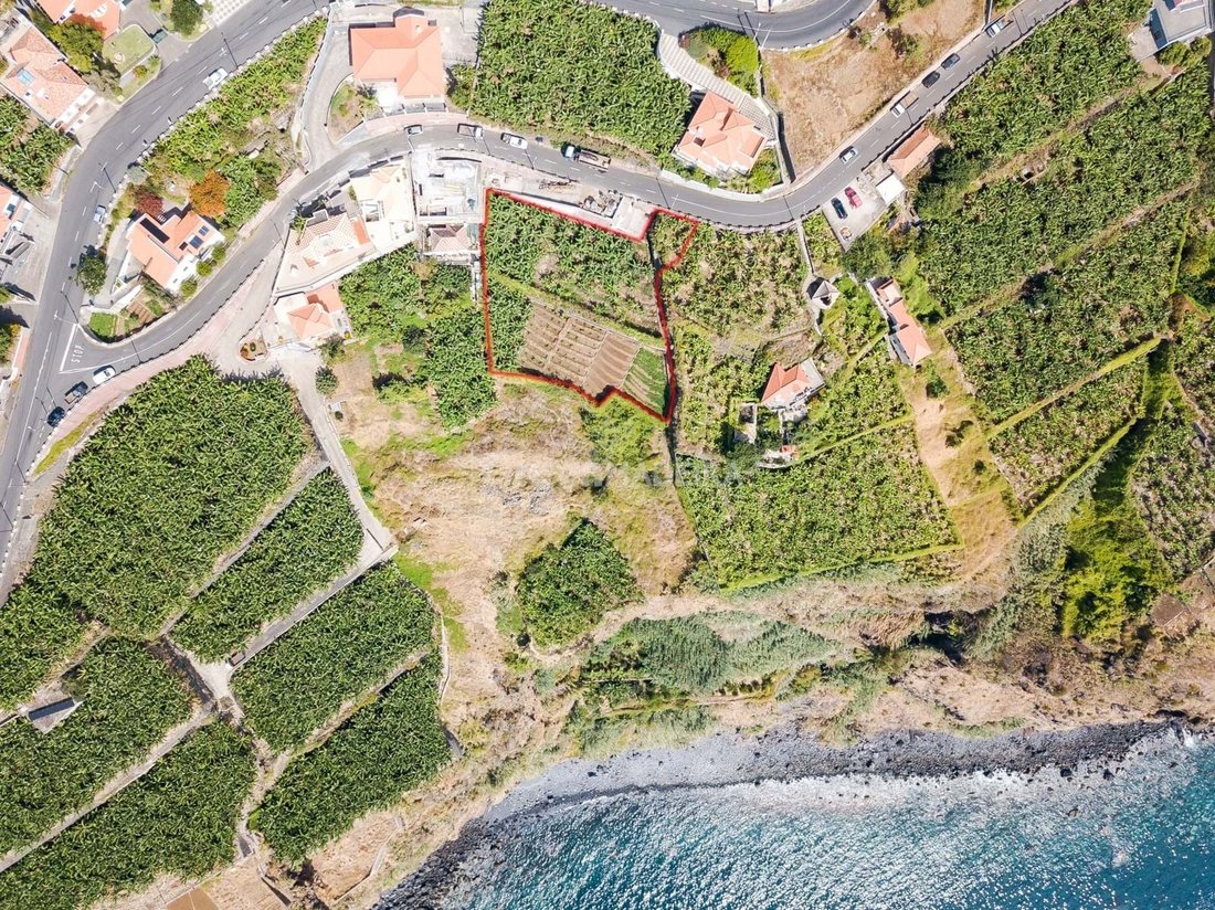 Land in Ribeira Brava, Madeira, Portugal 2 - 16881080