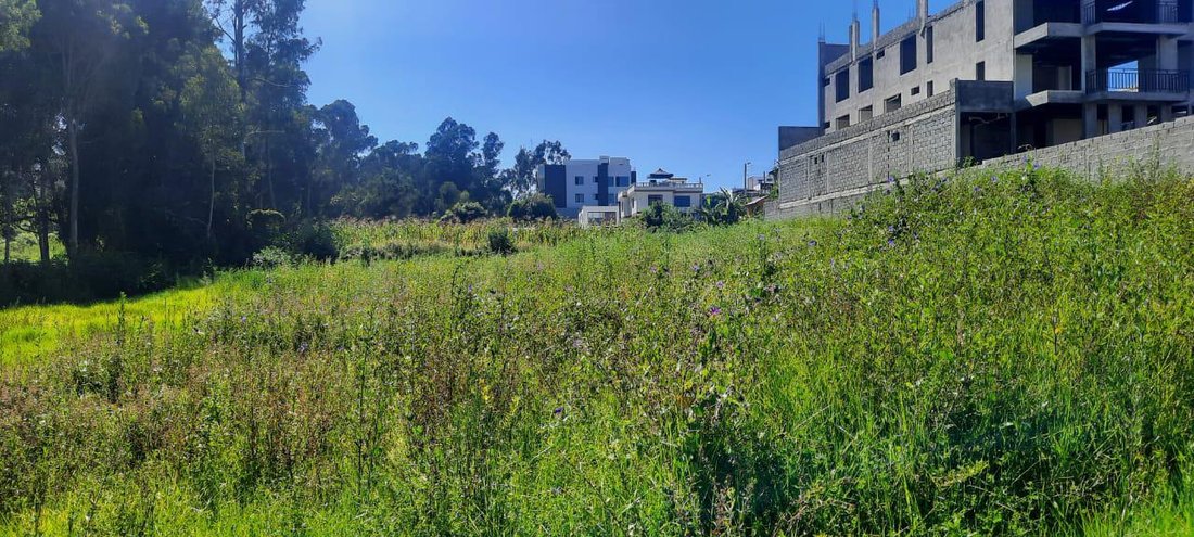 Land in Quito, Pichincha, Ecuador 3 - 18056339