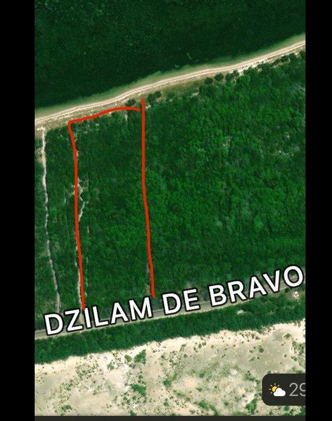 Land in Dzilam de Bravo Municipality, Yucatan, Mexico 5 - 18056384