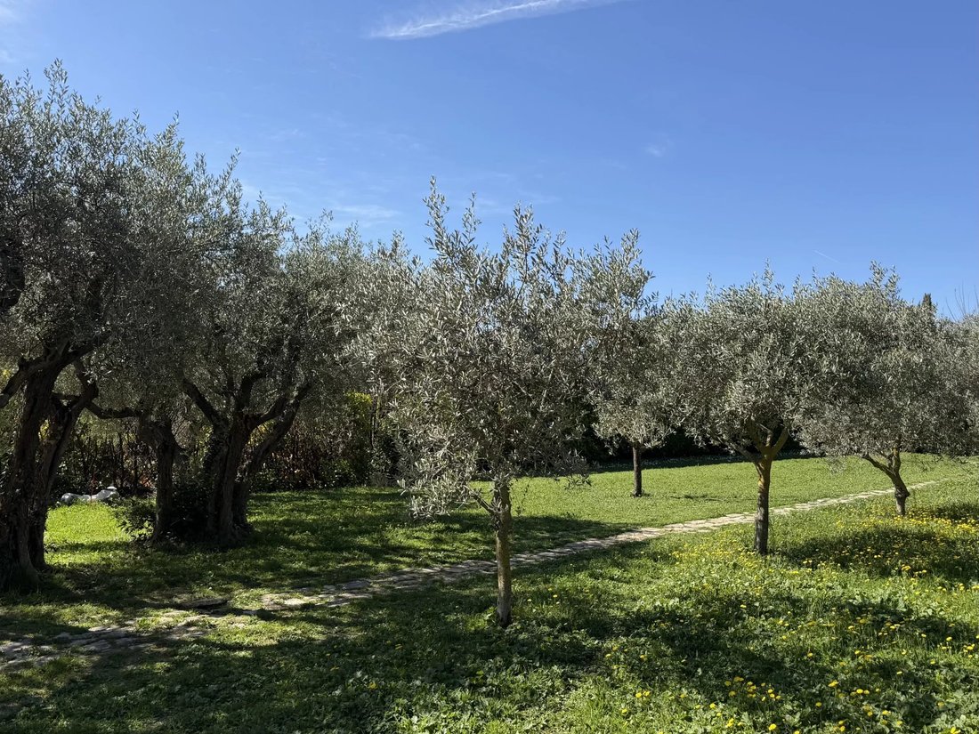 Land in Mazenod-Bellevue-Saint Donat-Banon, Aix-en-Provence, France 2 - 17423825