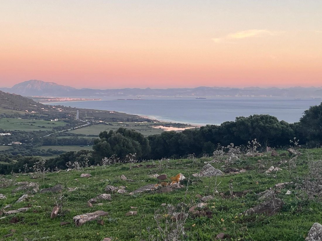 Land in Tarifa, Andalusia, Spain 1 - 18054756