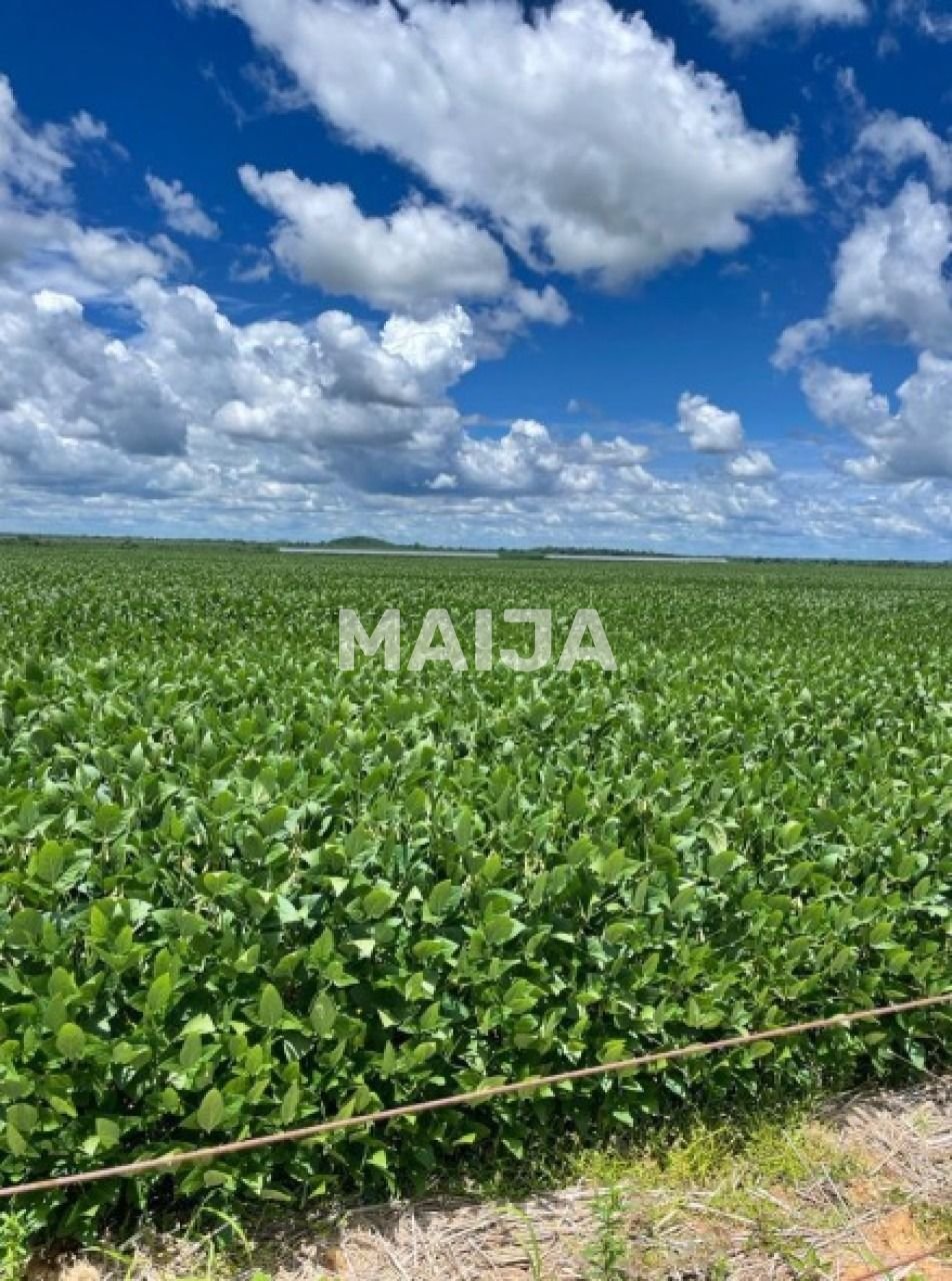 Terreno en Barra do Garças, Mato Grosso, Brasil 1 - 18056626