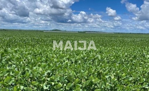 Land in Barra do Garças, State of Mato Grosso, Brazil 1