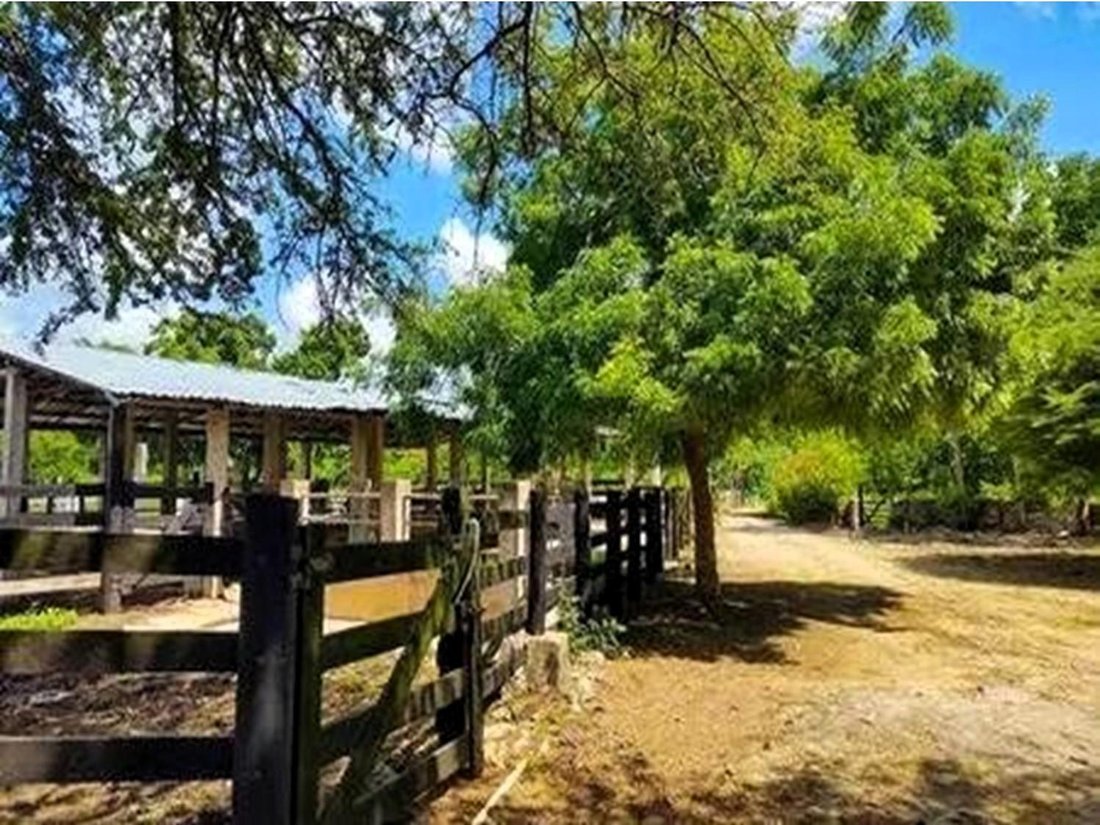 Land in Hocaba, Yucatan, Mexico 2 - 18056391