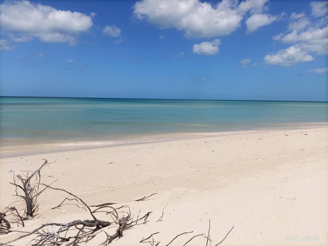 Land in Sisal, Yucatan, Mexico 1 - 18056381