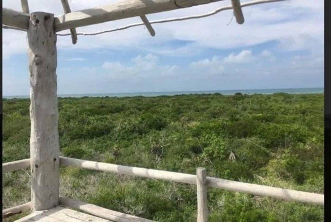 Land in Río Lagartos, Yucatan, Mexico 4 - 18056392