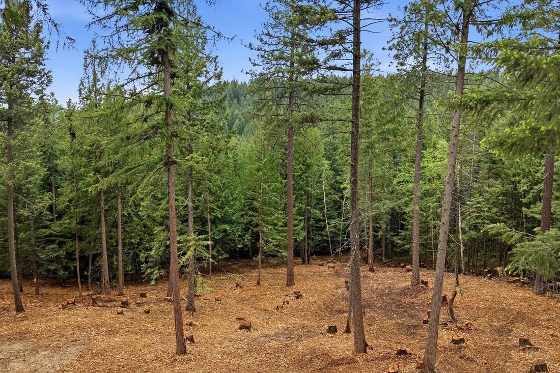 Land in Sandpoint, Idaho, United States 5 - 17346453
