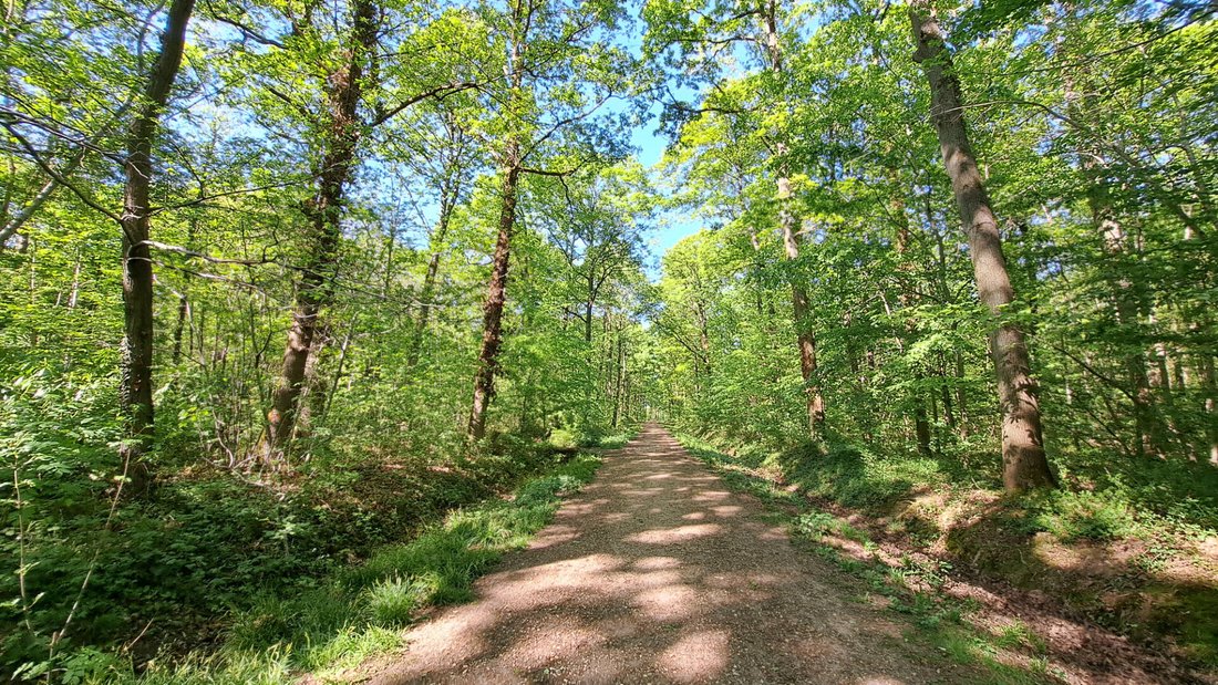 Villa in Les Communes, Bois-d'Arcy, France 2 - 18055861