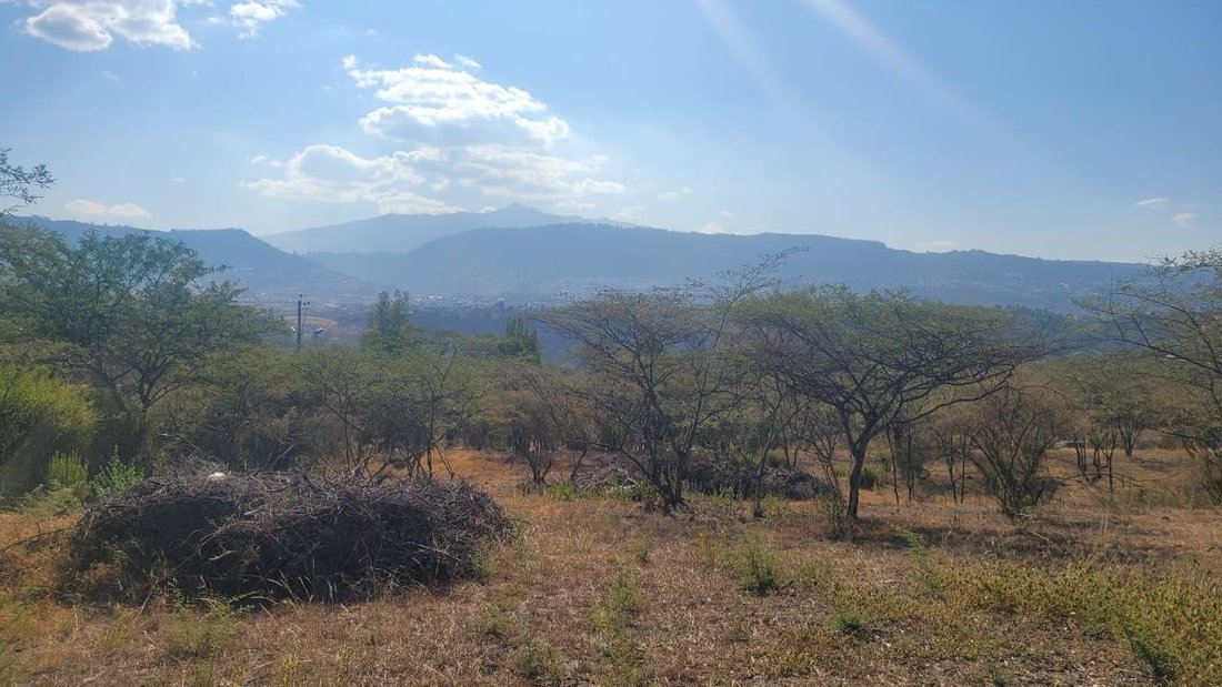 Land in Quito, Pichincha, Ecuador 4 - 18056313