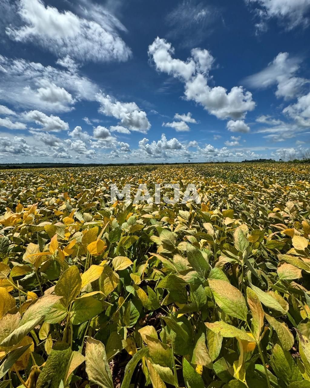 Terreno en Barra do Garças, Mato Grosso, Brasil 2 - 18056626