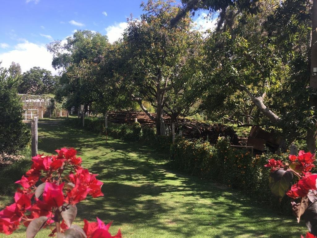 House in Quito, Pichincha, Ecuador 3 - 18056345