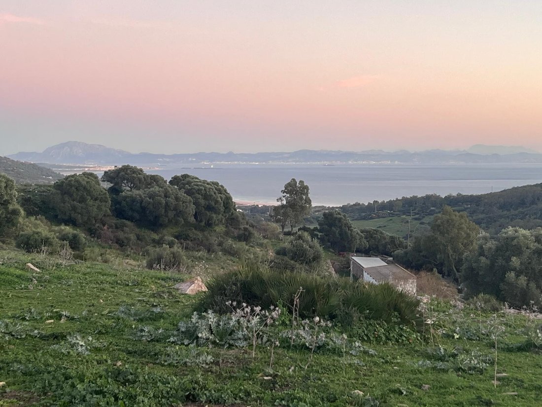 Land in Tarifa, Andalusia, Spain 5 - 18054756