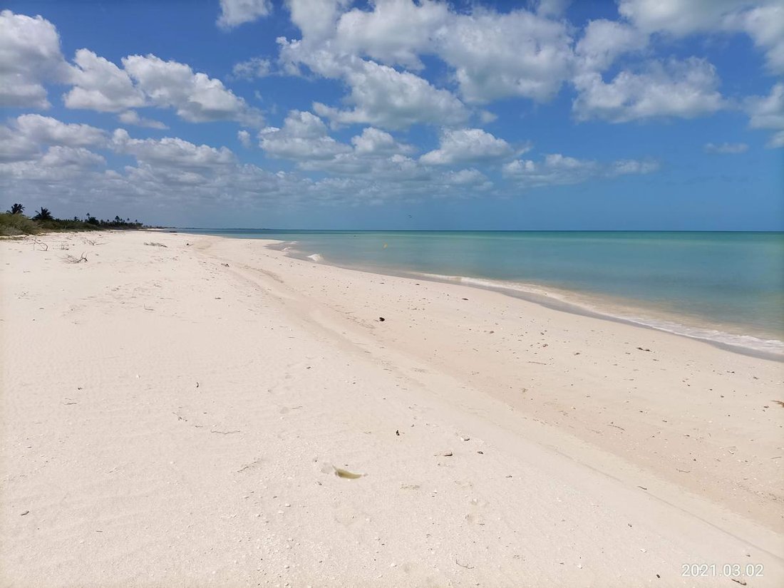 Land in Sisal, Yucatan, Mexico 2 - 18056381
