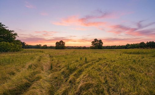 Land in Sherman, Texas, United States 1