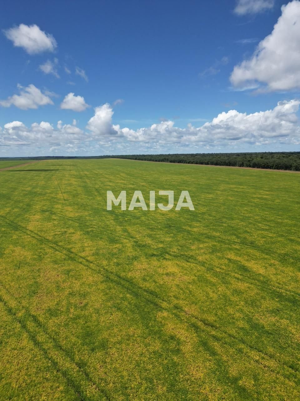 Terreno en Barra do Garças, Mato Grosso, Brasil 4 - 18056626