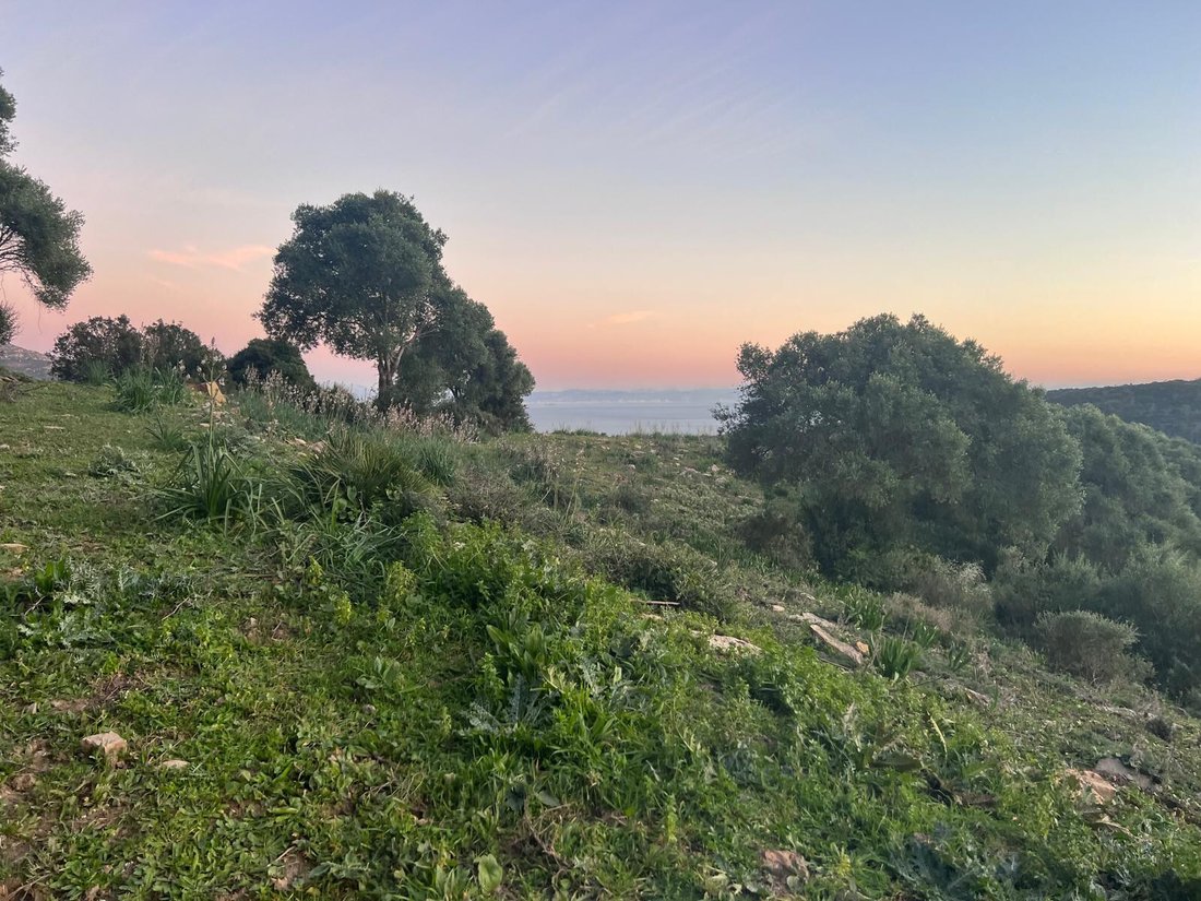 Land in Tarifa, Andalusia, Spain 2 - 18054756